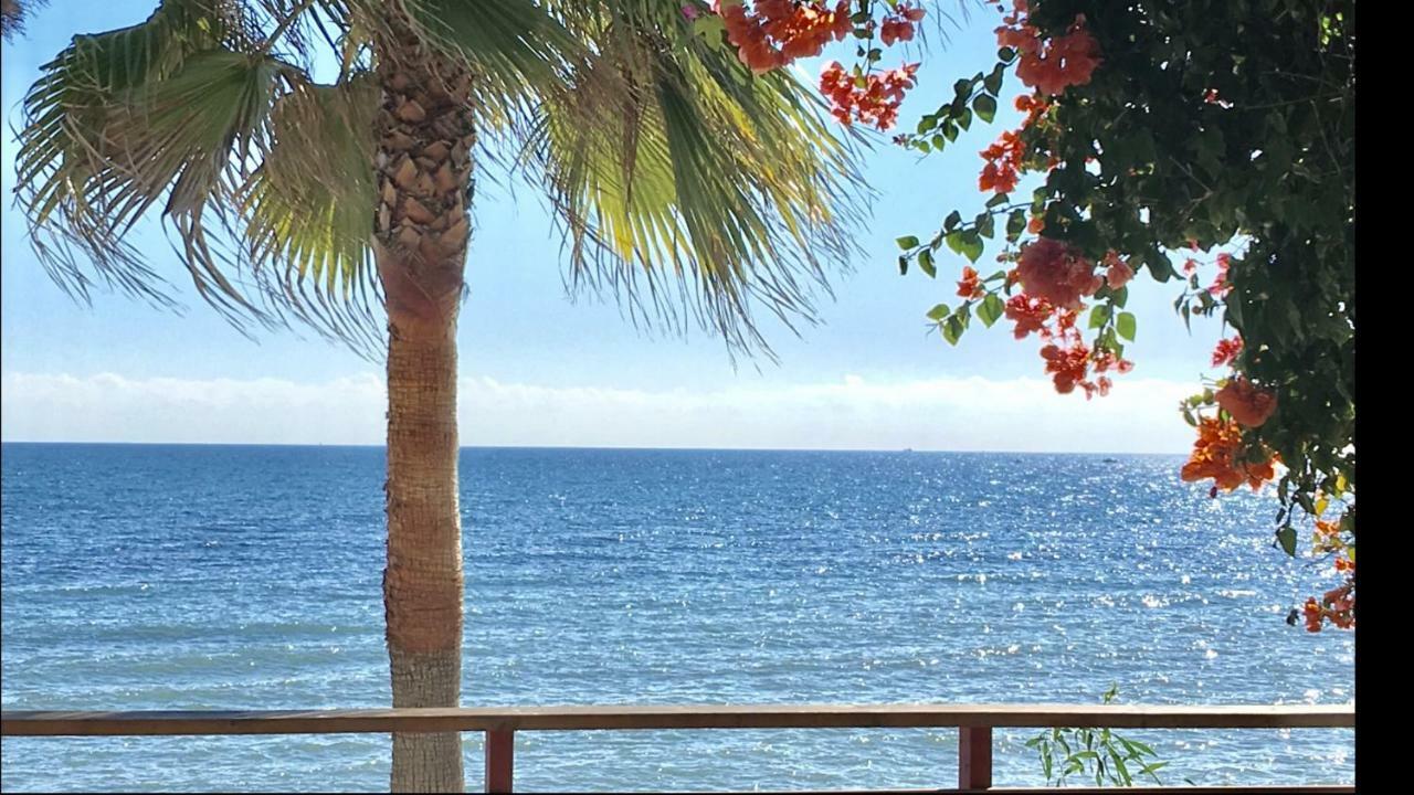 Sitio de Calahonda Mi Capricho A16 Beachfront Apartment מראה חיצוני תמונה